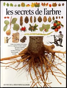 Les secrets de l'arbre