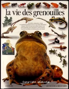 La vie des grenouilles