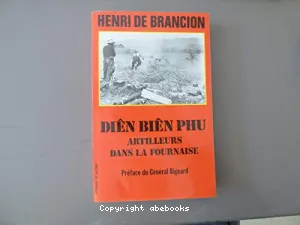 Diên Biên Phu, artilleurs dans la fournaise