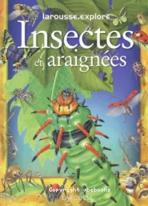 Les insectes et les araignées