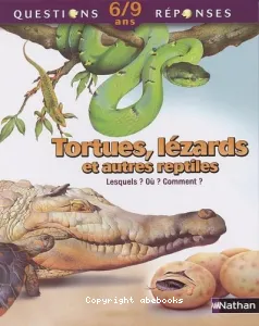 Tortues, lézards et autres reptiles