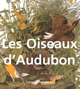 oiseaux d'Audubon (Les)