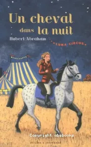 Un cheval dans la nuit