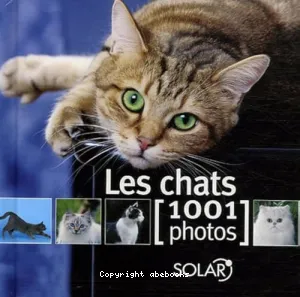 Les chats