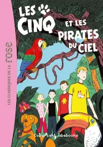 Le club des cinq et les pirates du ciel