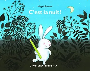 C'est la nuit !