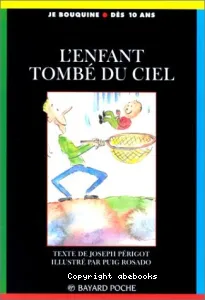 enfant tombé du ciel (L')