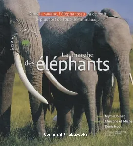 La marche des éléphants