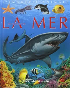 Les animaux de la mer