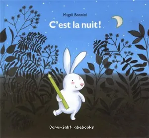 C'est la nuit