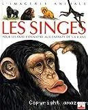 Les singes