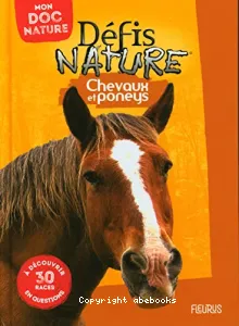 Chevaux et poneys