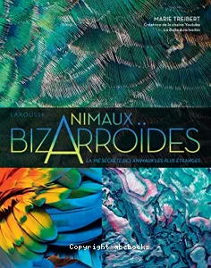 Animaux bizarroïdes