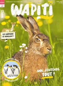 Wapiti, 445 - Avril 2024 - Moi, j'entends tout!