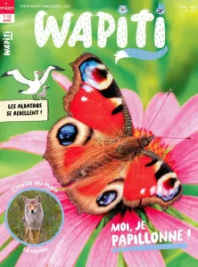 Wapiti, 447 - Juin 2024 - Moi, je papillonne!