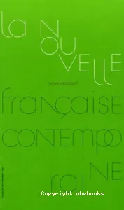 La nouvelle française contemporaine