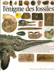 L'enigme des fossiles