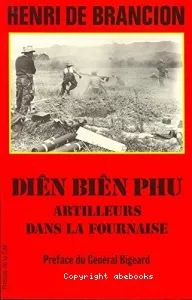 Diên Biên Phu, artilleurs dans la fournaise
