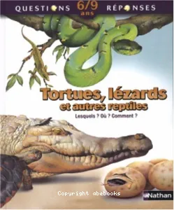 Tortues, lézards et autres reptiles