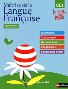 Maîtrise de la langue française