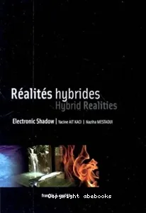Réalités hybrides, Electronic shadow hybrid design - Paris