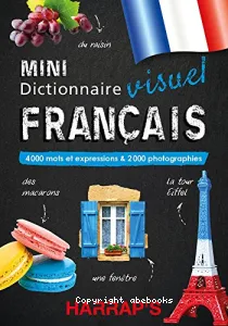 Mini dictionnaire visuel français